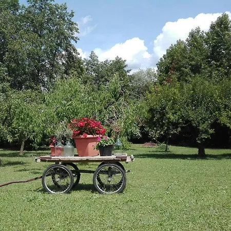 La Vie En Rose Отель типа 