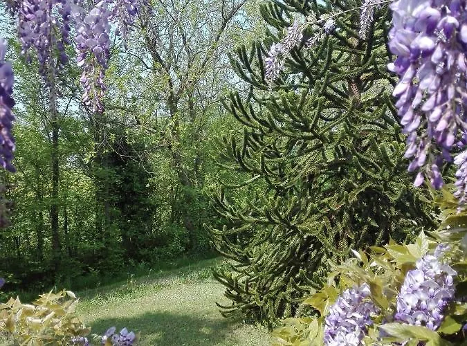 Panzió La Vie En Rose 3*