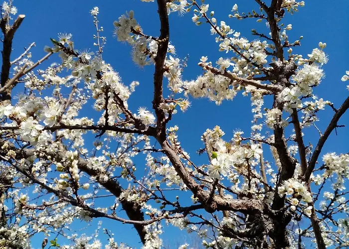 La Vie En Rose Panzió 3*