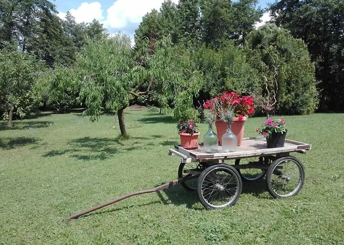 La Vie En Rose 3* Buia